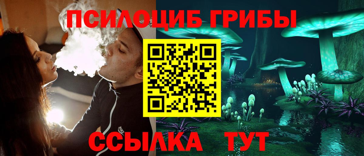 Псилоцибиновые грибы Psilocybine cubensis  купить  цена  Вход с VPN  Заводоуковск  Галлюциногенные грибы GOLDEN TEACHER 