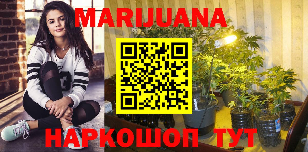 Заводоуковск  Бошки марихуана SATIVA & INDICA  Вход с VPN  Каннабис сатива 